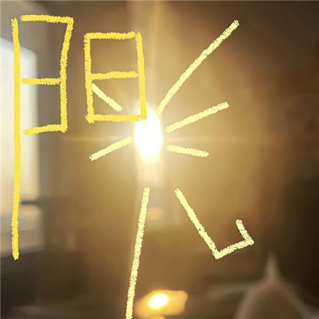 宠物托运必备小知识
